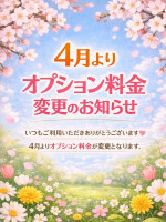 オプション料金改定